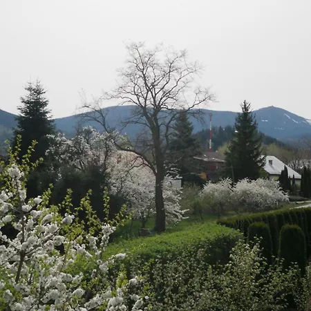 Teraz